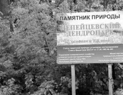 Непейцевская гора - Уфа