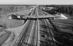 Скоростная трасса